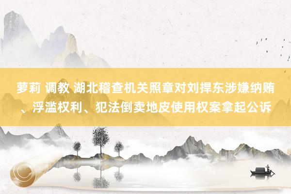 萝莉 调教 湖北稽查机关照章对刘捍东涉嫌纳贿、浮滥权利、犯法倒卖地皮使用权案拿起公诉