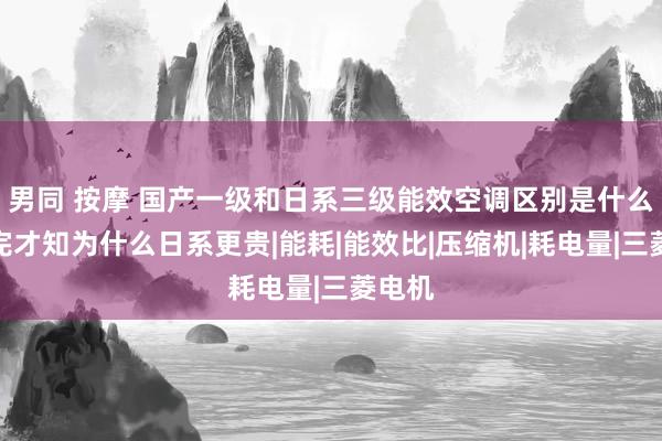 男同 按摩 国产一级和日系三级能效空调区别是什么？看完才知为什么日系更贵|能耗|能效比|压缩机|耗电量|三菱电机