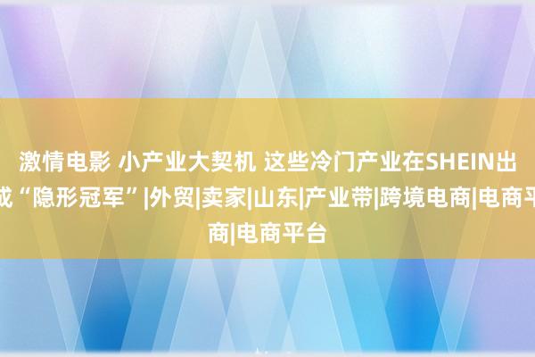 激情电影 小产业大契机 这些冷门产业在SHEIN出海成“隐形冠军”|外贸|卖家|山东|产业带|跨境电商|电商平台